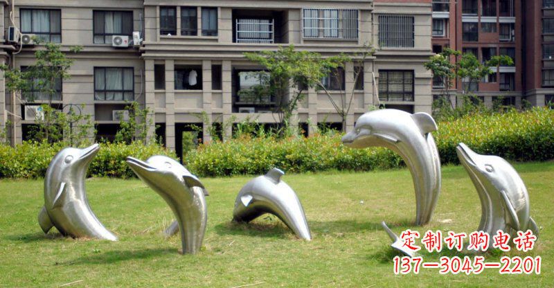 龙岩海豚的浪漫