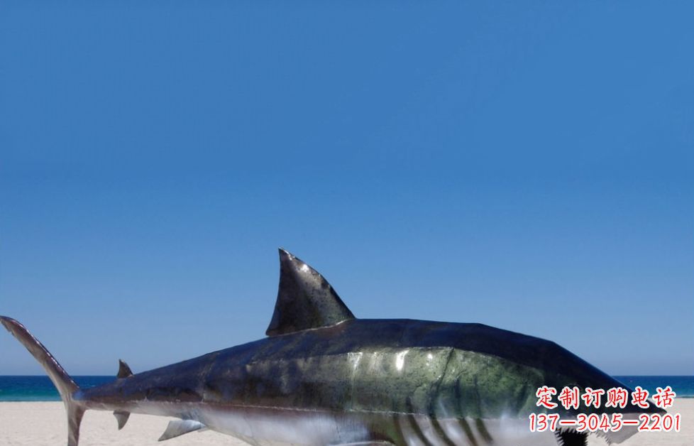 龙岩海洋生物之美——不锈钢鲨鱼雕塑