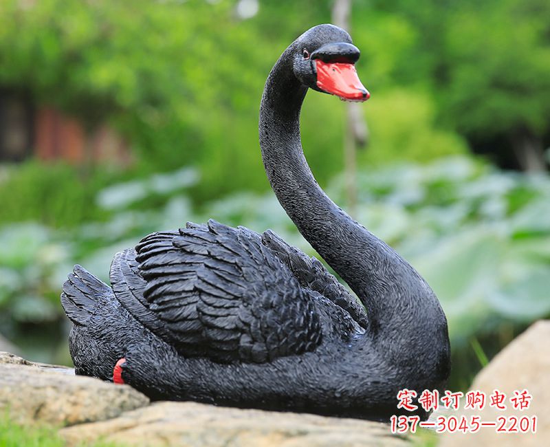 龙岩黑色天鹅卧姿雕塑-园林水景动物摆件