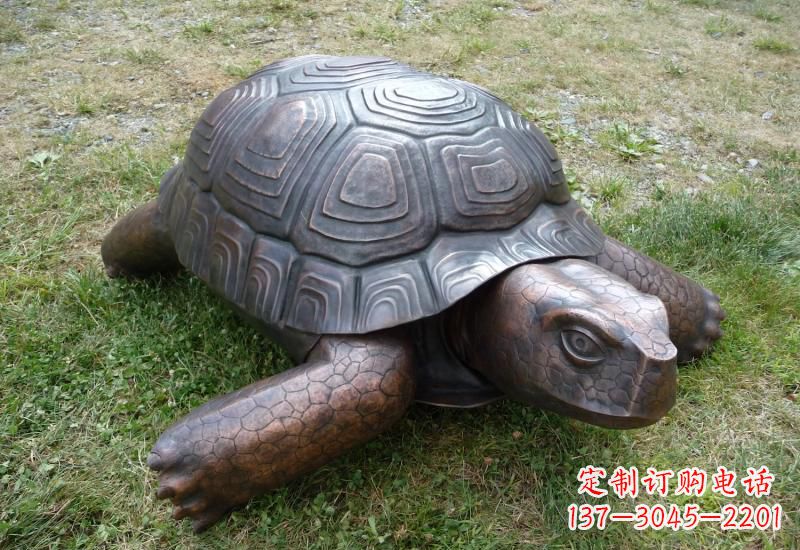 龙岩乌龟铜雕222