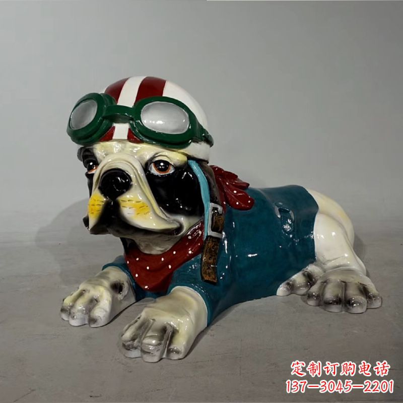 龙岩宇航员斗牛犬